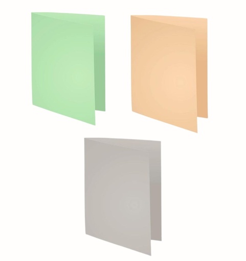 Pack de 100 Subcarpetas A4 (24 x 32 cm) 220 g 