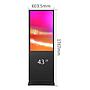 PANTALLA TOTEM 43" Yovisual (no táctil)